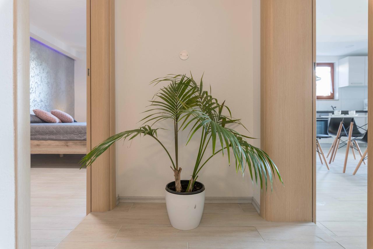 Apartments Villa Tre Marie ロヴィニ エクステリア 写真